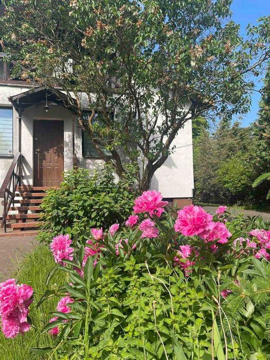 Новое общежитие Hostel Warszawa pokój Хостел Варшава! Говорим RU UA PL