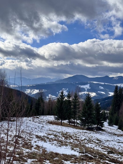 Земля 3,64 га у Карпатах, вид на Чорногірський хребет, під будівництво