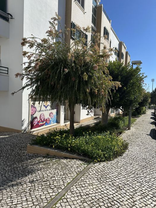 Jardineiro e manutencoes