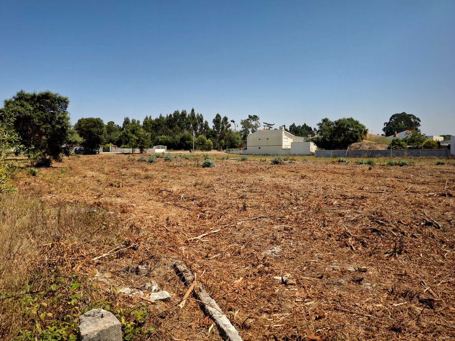 Terreno Espaçoso em Mira