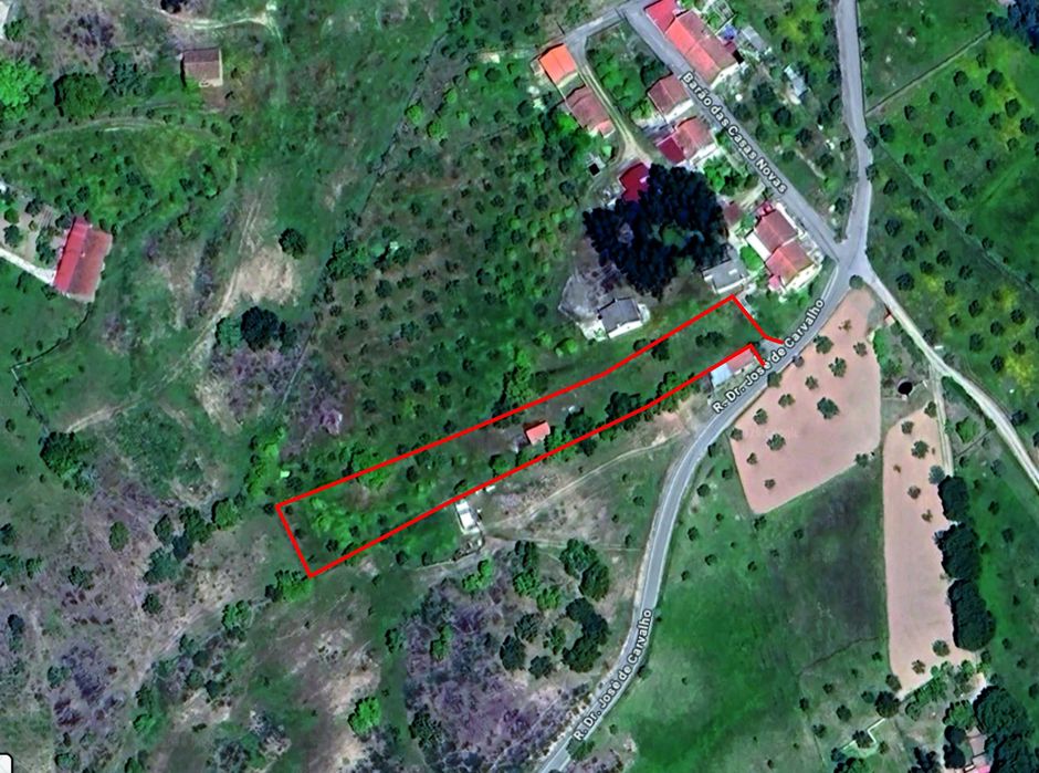 Terreno em cafede castelo branco