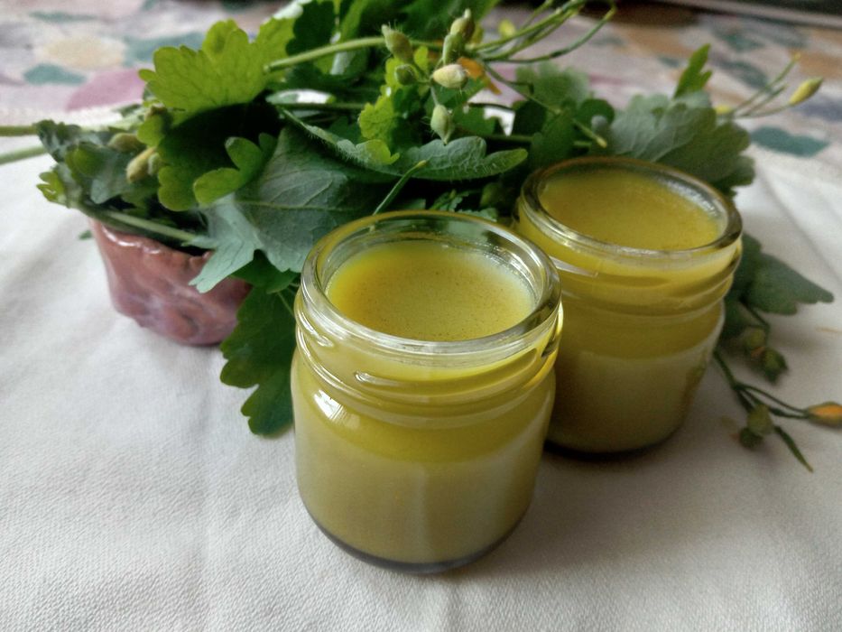 Maść glistnik jaskółcze ziele 40 ml