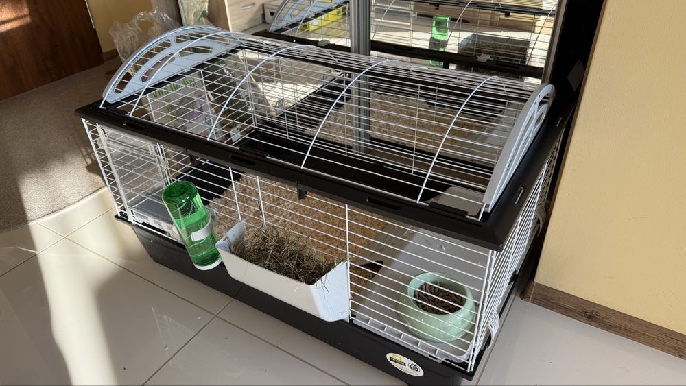 2 Świnki Morskie z klatka i akcesoriami