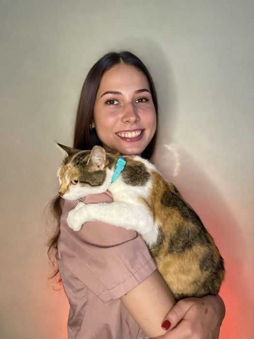 Ветеринар на дім, косметичні послуги, грумінг