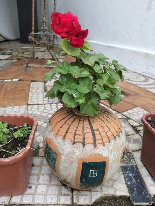 Vasos Improváveis com plantas alusivas pt. 2