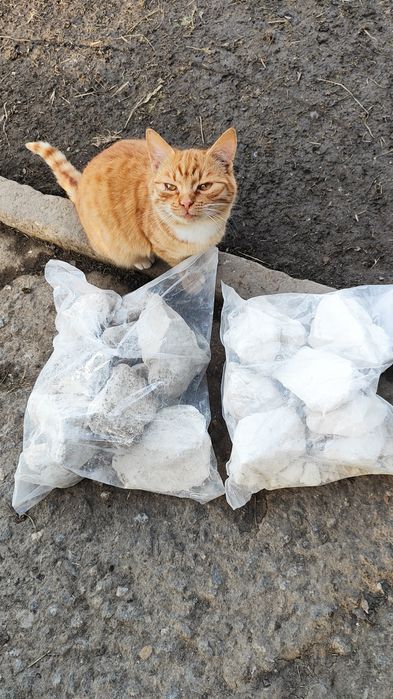 Вапно гарне біле