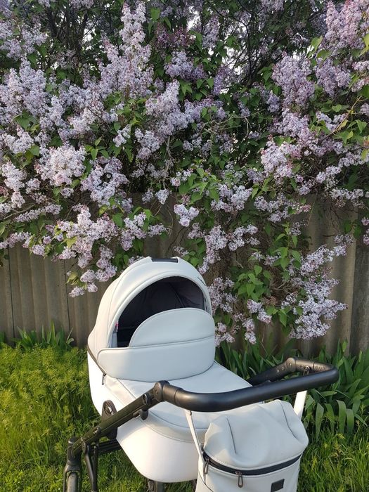 Коляска anex e tape серая