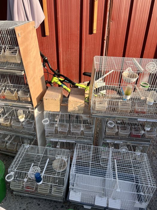 Viveiros para aves