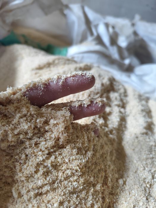 Тирса, стружка, опилки соснові 50 м3+