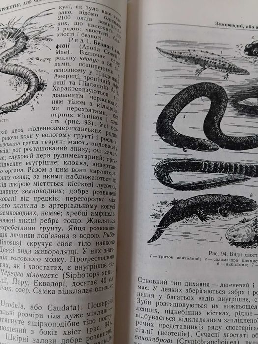 Хрестоматія хребетних