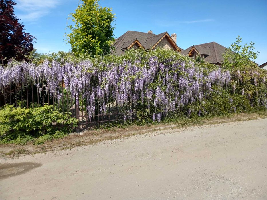 Ogrodnik. Zakładanie i pielęgnacja ogrodów. Koszenie trawy