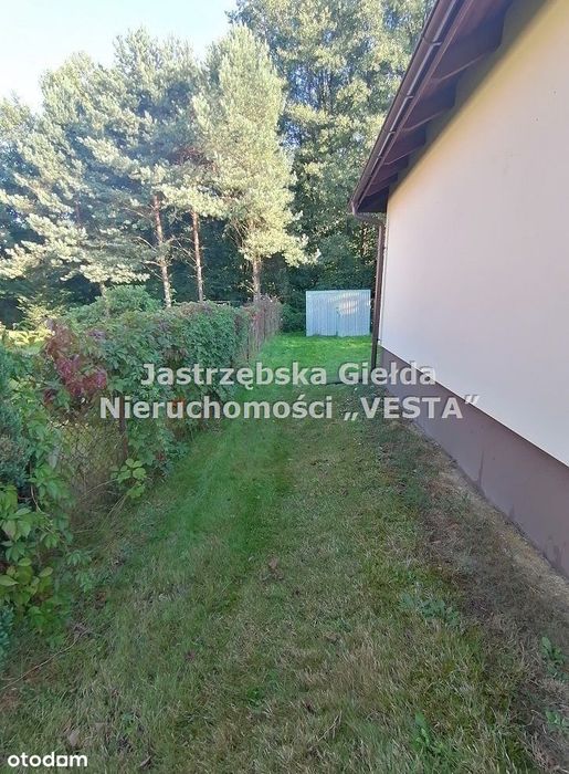 Dom blisko centrum z potencjałem