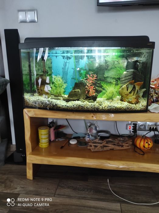 Akwarium z wyposażeniem