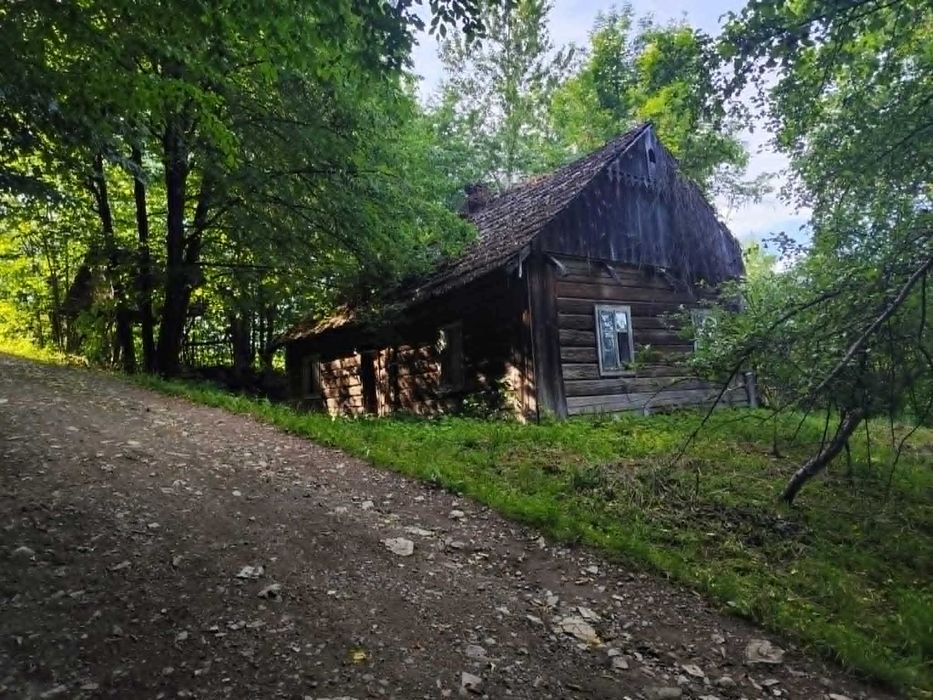 Sprzedam działkę ze starym domem Błędowa Tyczyńska - Więcej