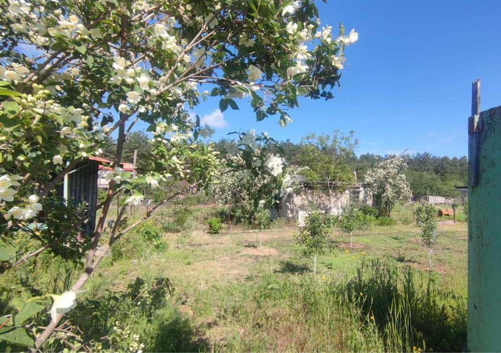 Продам земельный участок с адресом с/о Лесная поляна