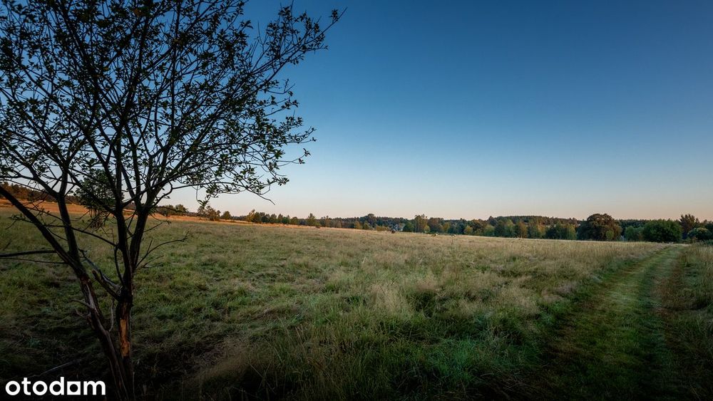 Pobiedna - działka budowlana na wzgórzu, 2 km od Świeradowa Zdroju