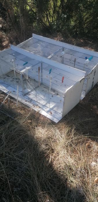 Gaiolas, ninhos e acessórios