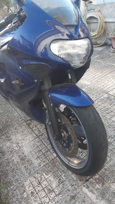 Espectáculo Triumph TT 600