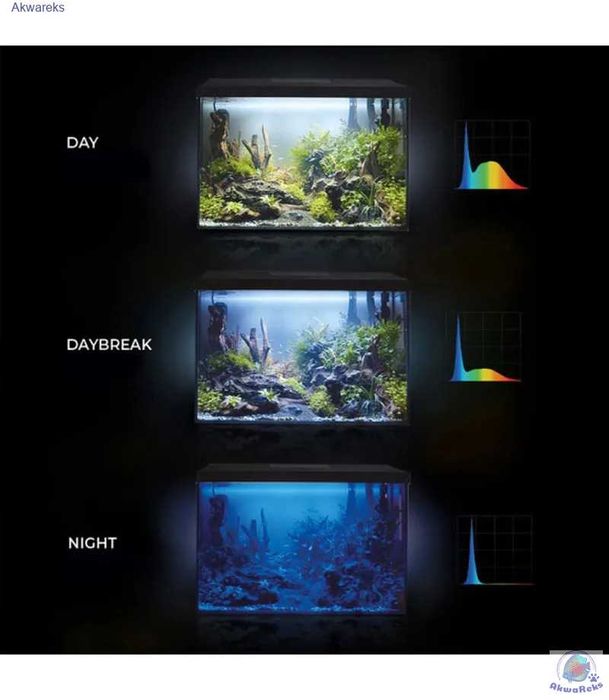 Zestaw akwariowy Aquael opti set 125 Od Ręki - Sklep AKWAREKS