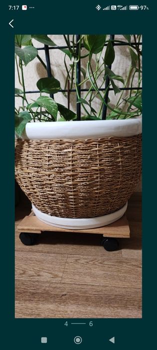 Продам плетёные горшок с красивым цветком.