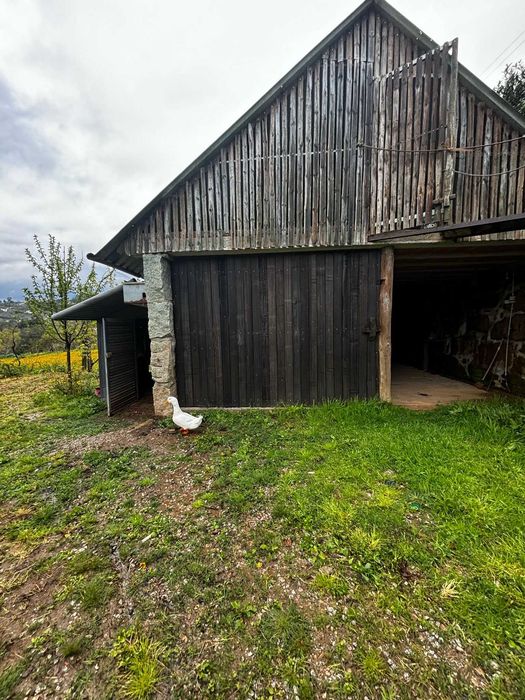 Quinta em Pedraça