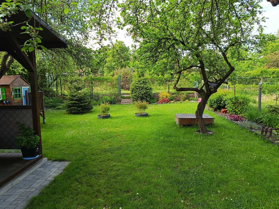 Działka ROD Katowice Koshutka