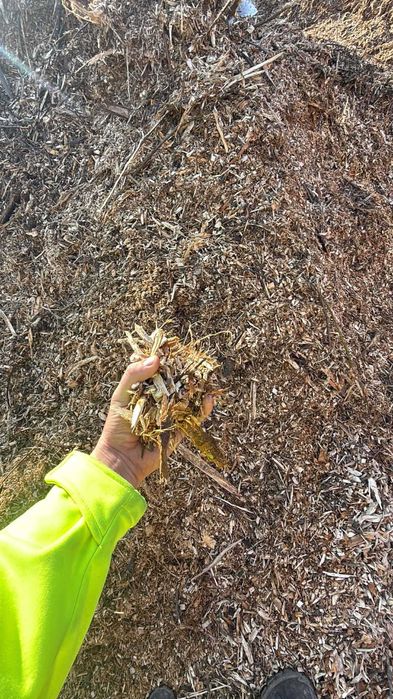 Zrębka drzewna, duże ilości