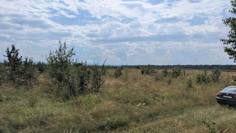 Продається ділянка 25 сот під будову с.Камінне(12)