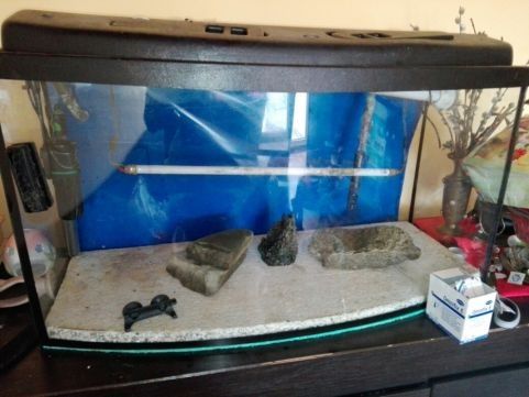 Sprzedam akwaruim 112litriw +akcesoria