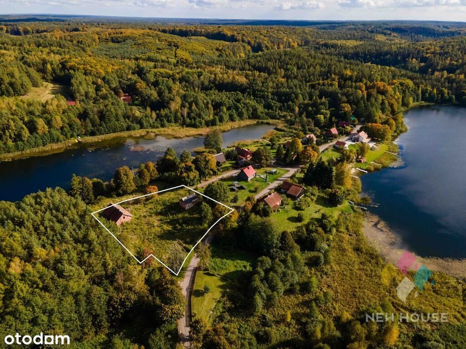 Dłużki, siedlisko nad jez. Dłużek