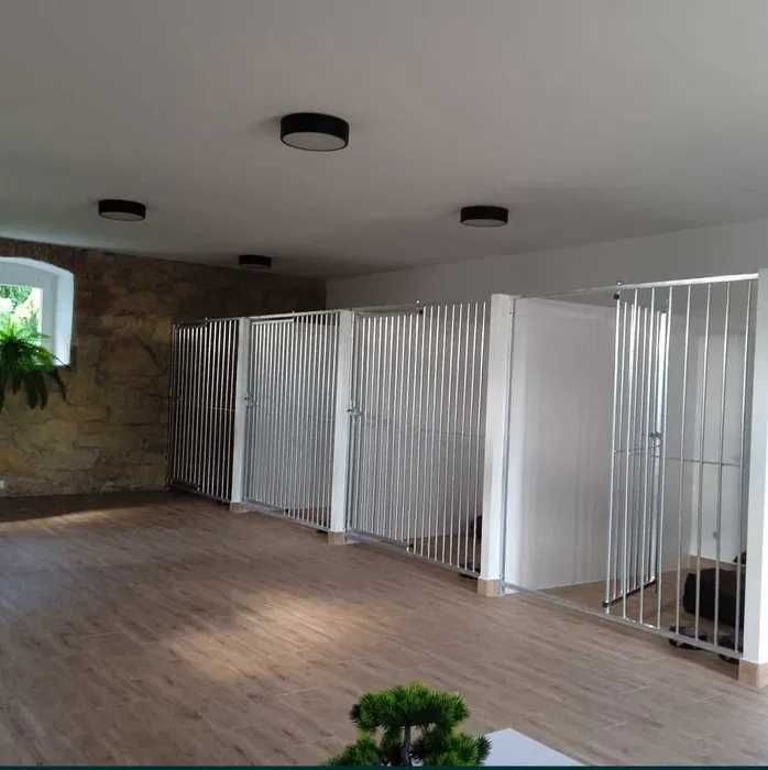 Hotel dla psów KingDom - opieka 24h