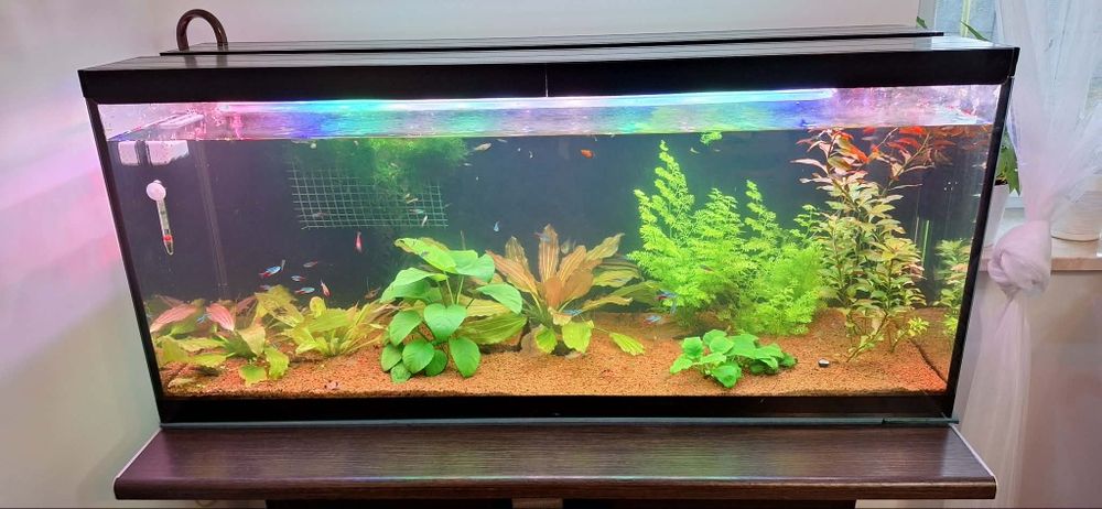 Akwarium 240L z szafką, filtrem  100 % sprawne