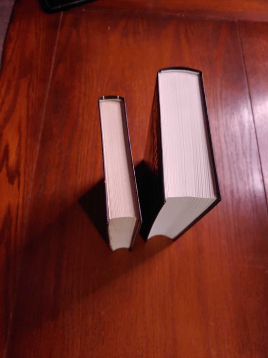 Данил Корецкий — Рок-н-ролл под Кремлем, 4 книги в 2 томах