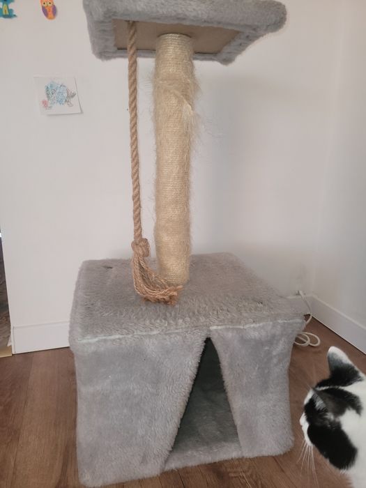 Drapak dla kota do odswiezenia