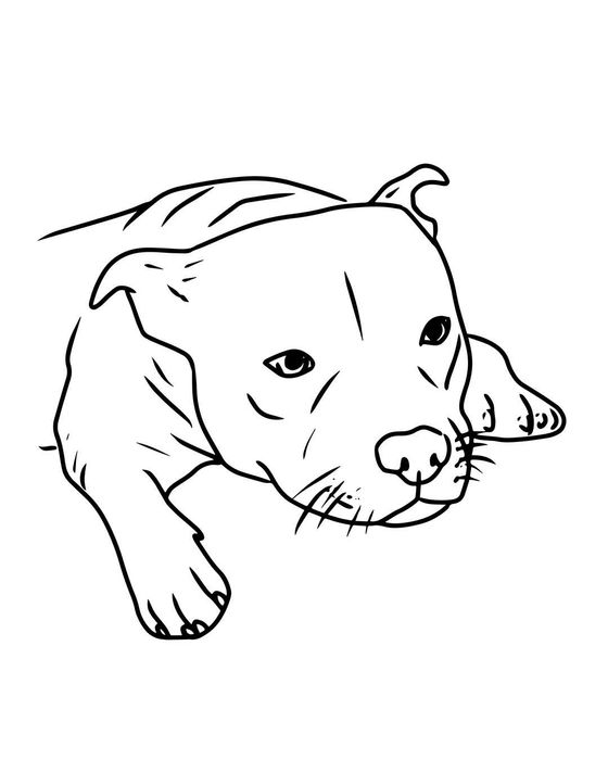 Retrato Line Art Personalizado - Prenda Única e Minimalista