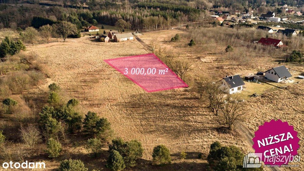 Krępsko - działka 3000 m2 otoczona naturą
