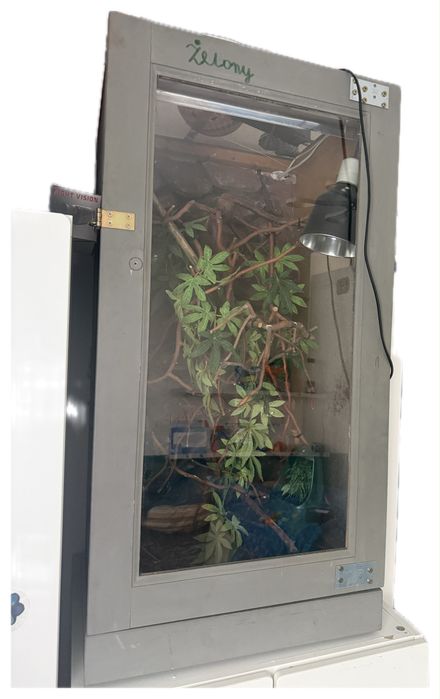 Terrarium dla Kameleon