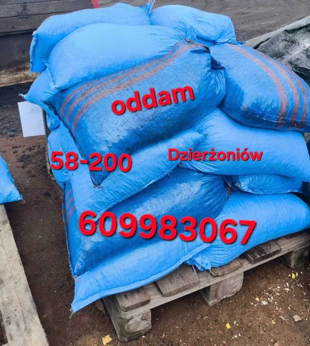 Wegiel Oddam za darmo