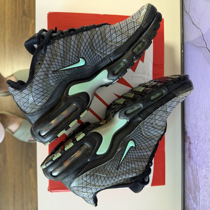 Кроссовки мужские Nike Air Max Plus Grey FB3351-001