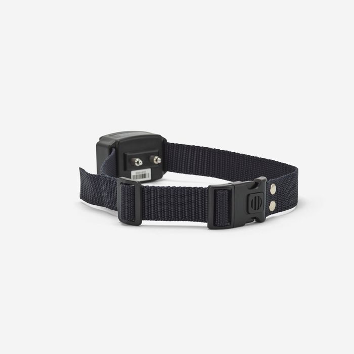 Coleira Antilatidos para Cão Canicalm Premium