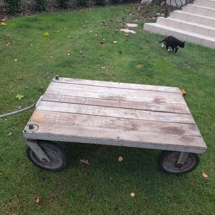 Wózek gospodarczy na 4 obracanych, bezdętkowych kołach