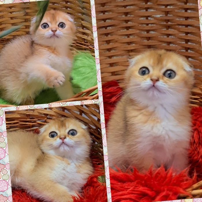 Подарочки готовы ждут вас