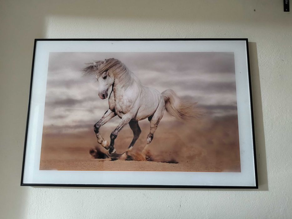 Quadros e molduras 6€ cada