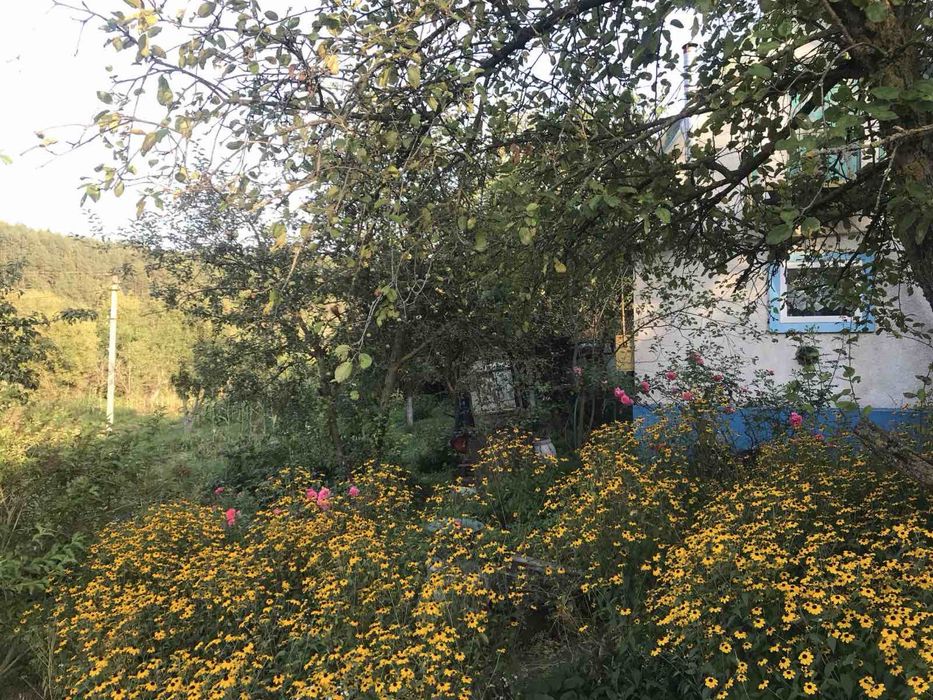 Продаж житлового будинку від власника