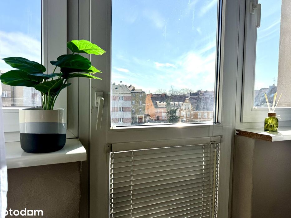 Apartment in Oleśnica, powiat oleśnicki - Widok 2