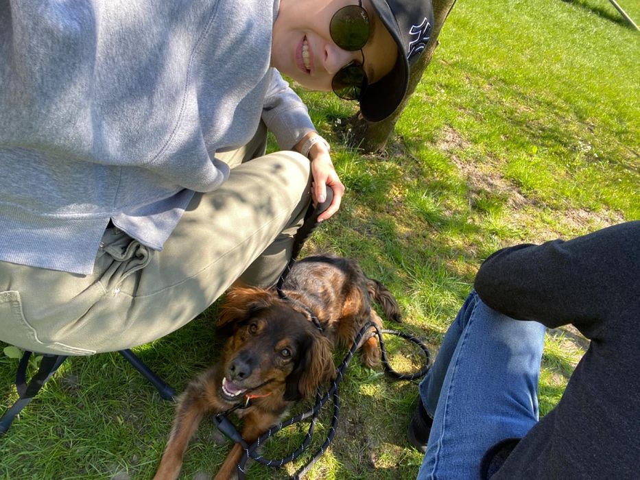 Trener Psów - Behawiorysta