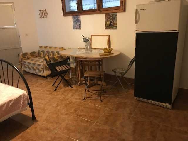 Casa rural mobilada T0 em jardim 1000m2