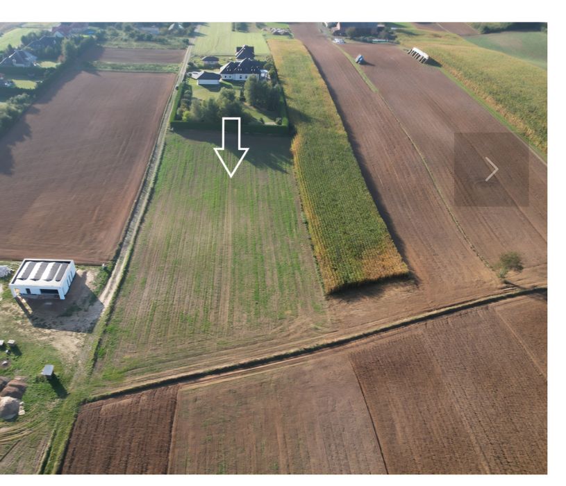 Działka siedliskowa