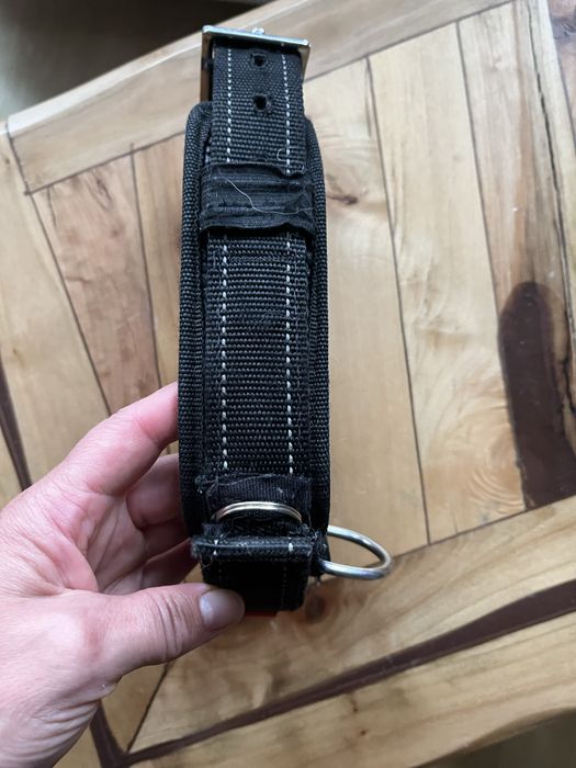 Obroźa dla psa Pentento Pet