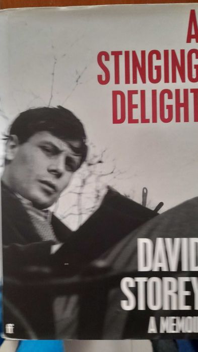 Livro Ingles A Stinging delight Capa Dura